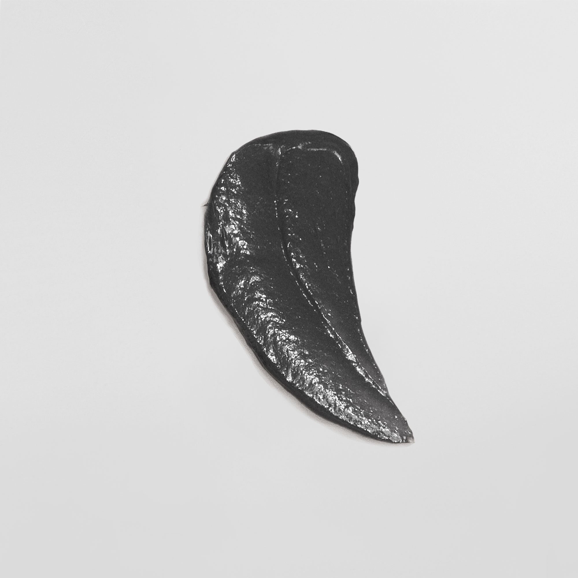 Schwarzes Blatt auf hellgrauem Hintergrund.